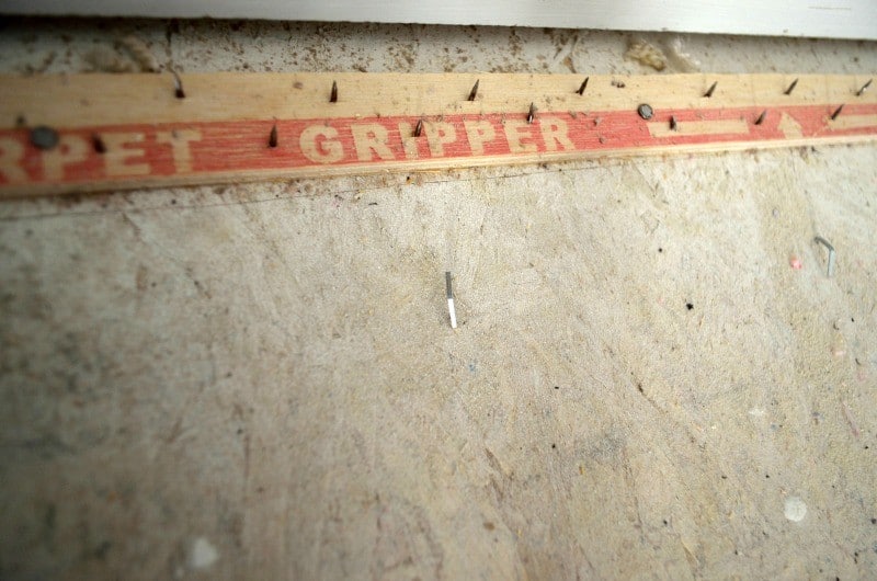 carpet gripper