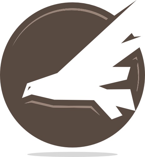 美國移民生活指南